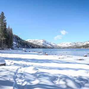 Donner Memorial State Park Cross-Country Ski