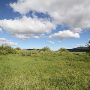 Osprey Point Interpretive Trail