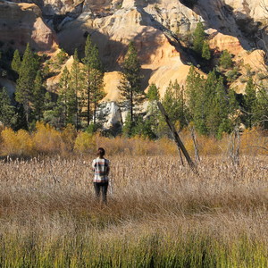 Malakoff Diggins State Historic Park