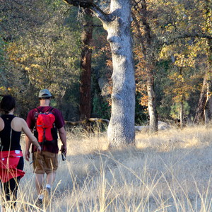 Point Defiance Loop Trail