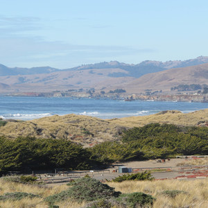 Bodega Dunes Campground