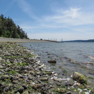 Camano Island State Park