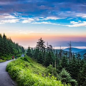 An Ode to Great Smoky Mountains National Park