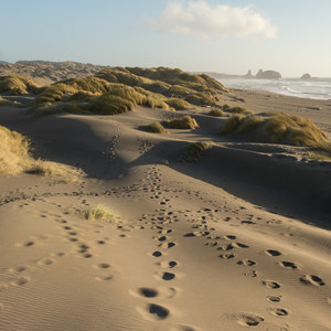 Pistol River South Beach