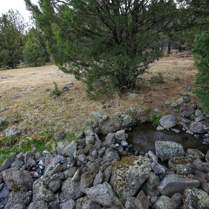 West Valley Warm Springs