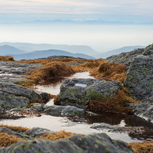 Camels Hump Via the Monroe Trail
