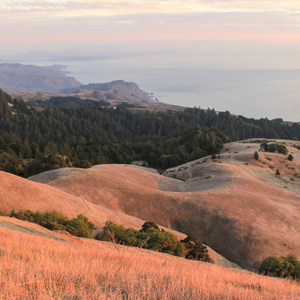 Mount Tamalpais State Park