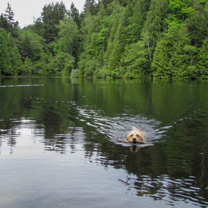 Fragrance Lake Trail