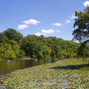 Pocahontas State Park Campground