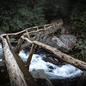 Porters Creek Trail to Fern Branch Falls
