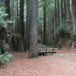 Florence Keller County Park + Campground