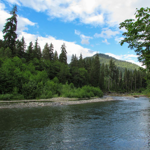 Boardman Creek Group Campground