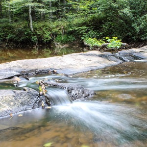 Prince William Forest Park