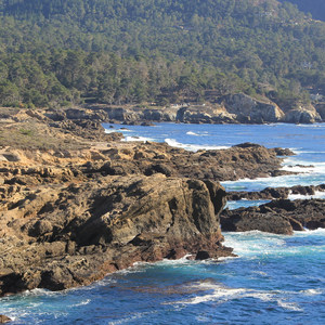 Point Lobos State Natural Reserve