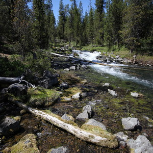North Davis Creek Campground