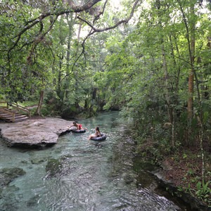 Rock Springs at Kelly Park