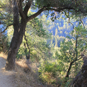 Valley View + Pfeiffer Falls Trail Hike