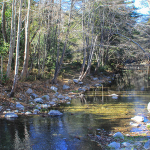 Pfeiffer Big Sur State Park