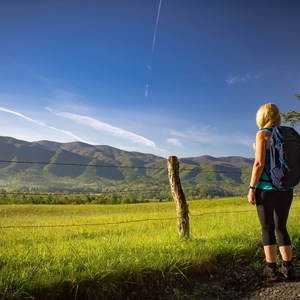 Cades Cove Loop