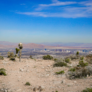 Las Vegas Overlook Trail