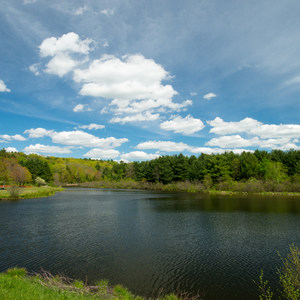 Kenneth L. Wilson State Park