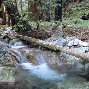 Limekiln State Park