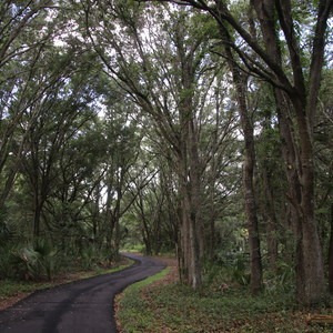 Bill Frederick Park + Campground at Turkey Lake