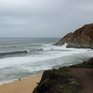 Gray Whale Cove State Beach