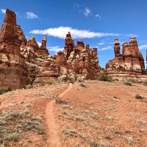 Finding Needles in the Desert: Exploring in Canyonlands National Park