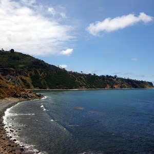 Bluff Cove