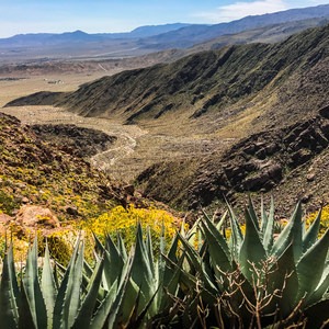 Indianhead Peak: Southeast Ridge