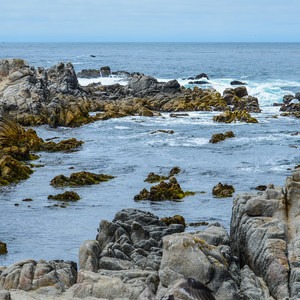 Asilomar State Marine Reserve