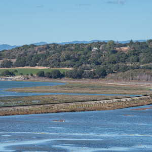 Elkhorn Slough