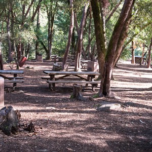 Uvas Canyon County Park