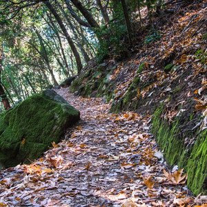 Knobcone Point + Black Rock Falls Hike via Contour Trail