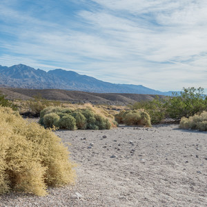 Mesquite Spring Campground