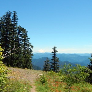 Crabtree Valley Hike