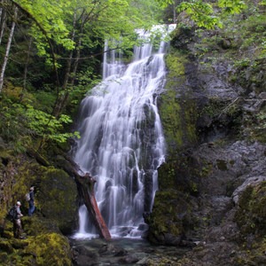 A hidden 'family' of waterfalls in Opal Creek Wilderness