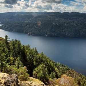 Jocelyn Hill via Caleb Pike