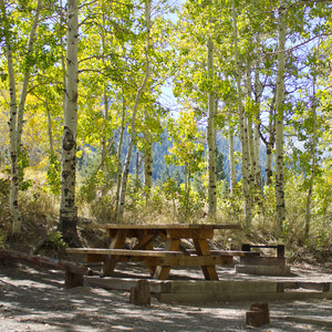 Gull Lake Campground