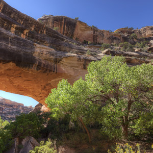 Kachina Bridge Trail