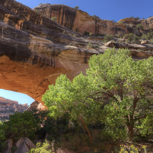 Natural Bridges National Monument