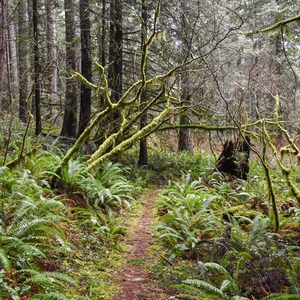 Horse Creek South Trail Hike
