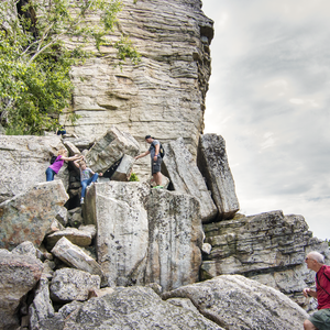 Labyrinth + Lemon Squeeze