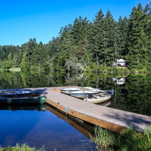San Juan Island: Lake Dale Resort + Campground