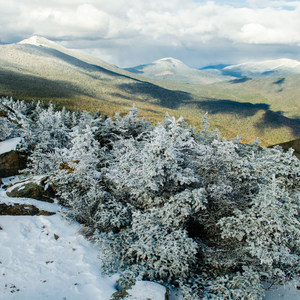 Mount Flume + Mount Liberty Loop