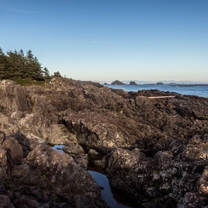 Wild Pacific Trail, Lighthouse Loop