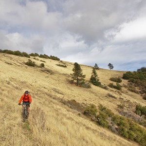 Little Grayback + Mule Mountain Loop