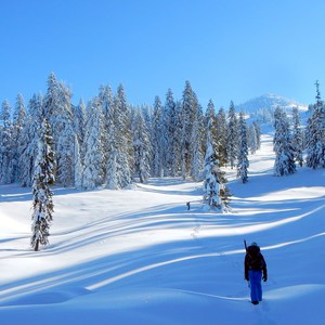 Brown Mountain Snowshoe