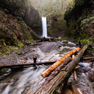 Franklin Ridge Loop Hike